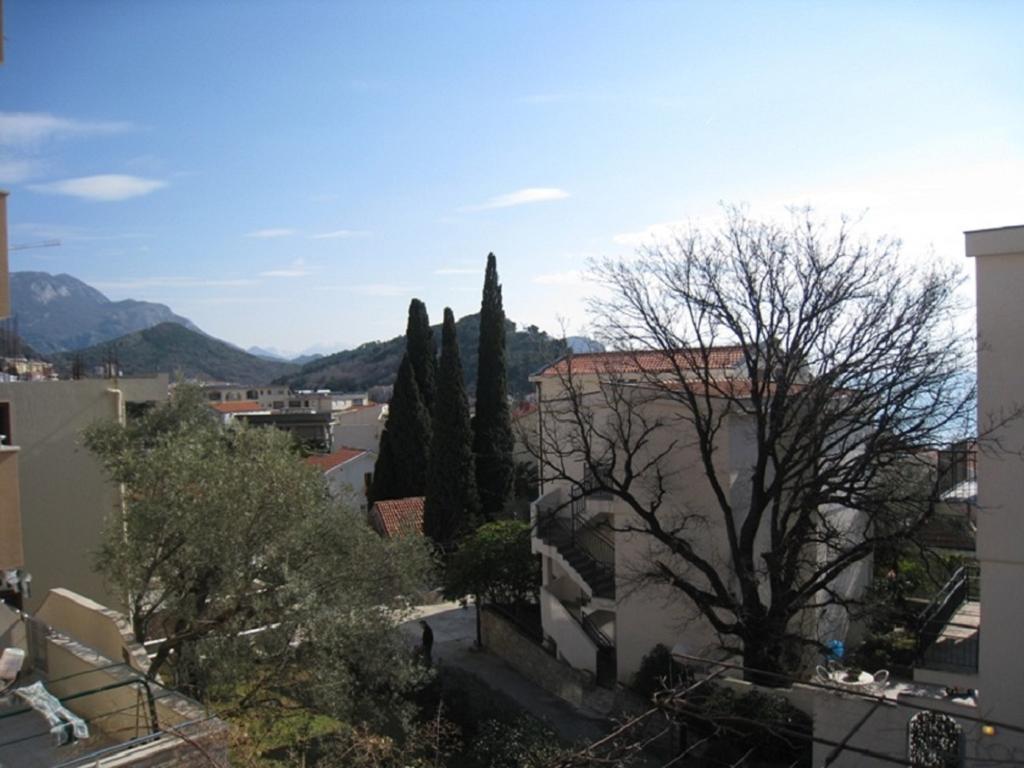 Apartment Stana Petrovac Exterior photo